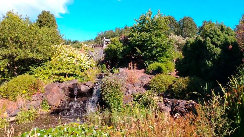 Water-Wise And Sustainable, Without Losing The Magic