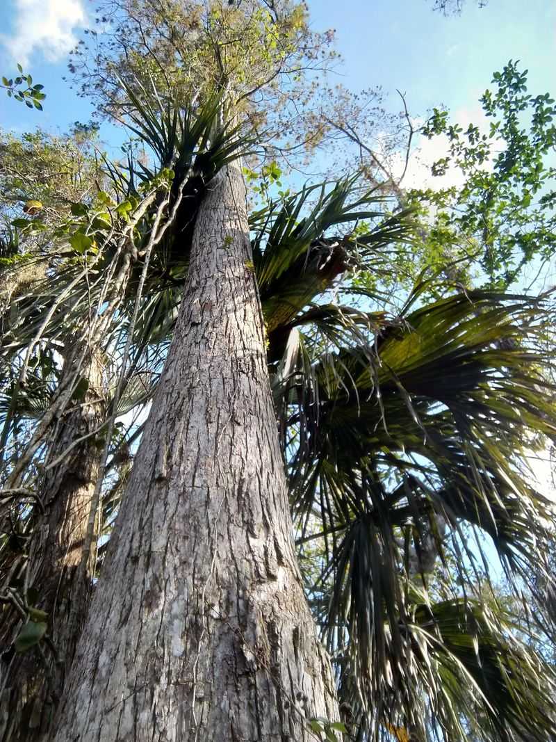 Most Visitors Discover It By Accident