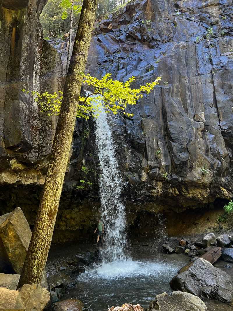 The Trail Is Perfect For Quick Stops And Road Trips