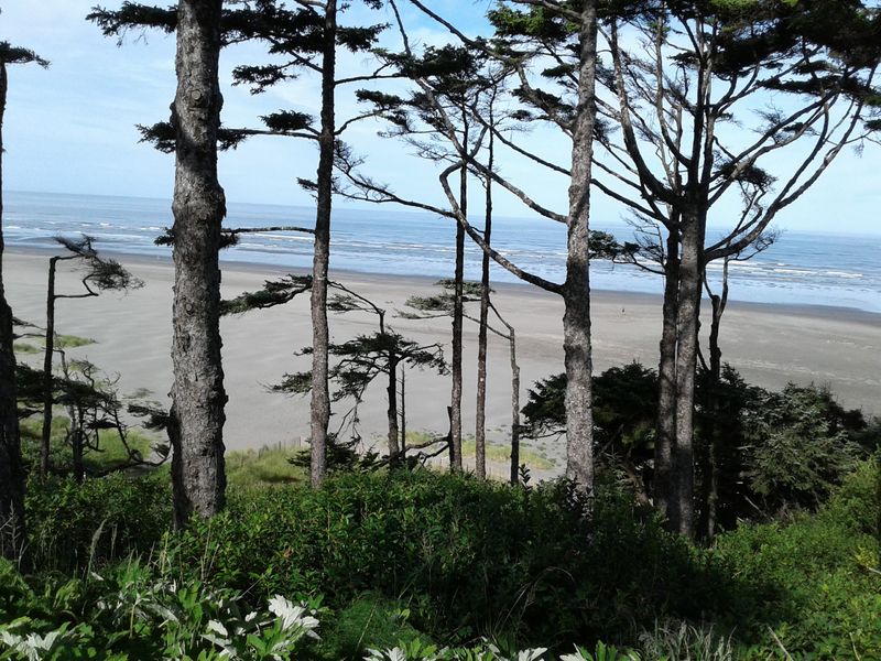 Pacific Beach Feels Like What The Washington Coast Used To Be