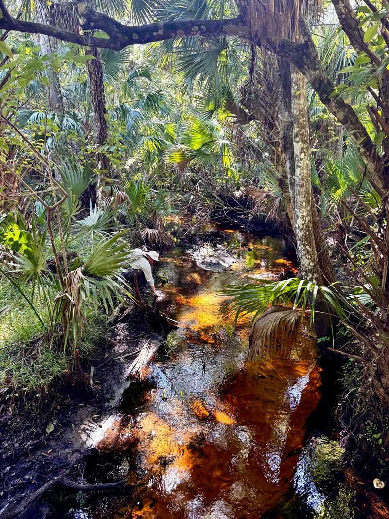 Wekiwa Springs Overflow Falls