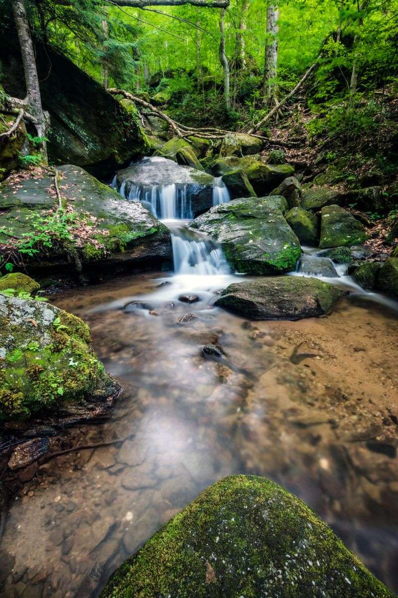 Bent Run Falls (Allegheny National Forest)