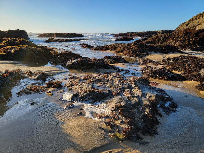 Bean Hollow State Beach