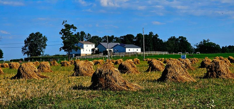 Amish Country (Holmes County)
