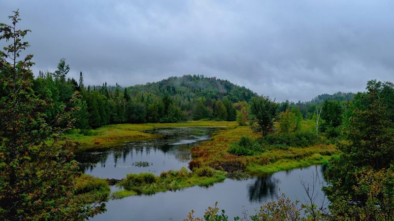 Saranac Lake: Depot Whispers And Lakeshine