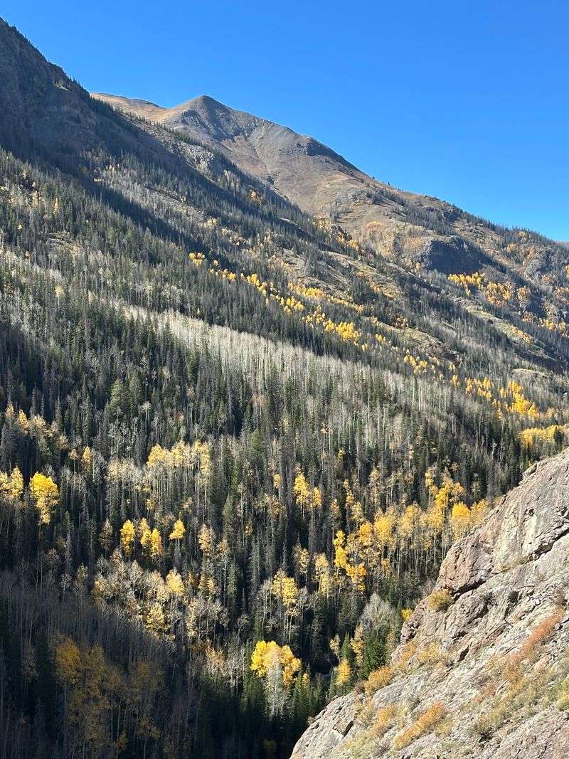 Nature Comes First, Not Schedules