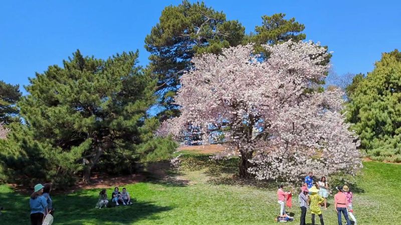 When To Visit For The Best Experience