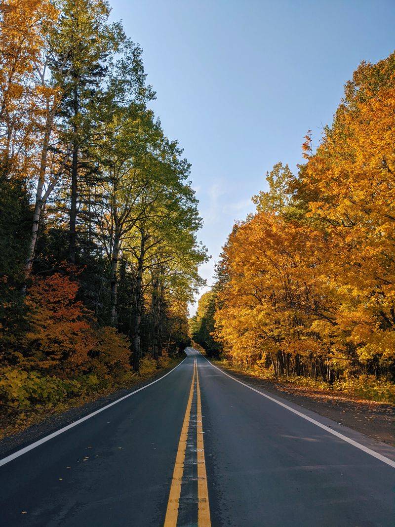 A Single Road Leads Here