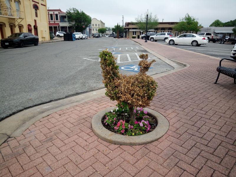 Minimal Traffic And Simple Daily Routines