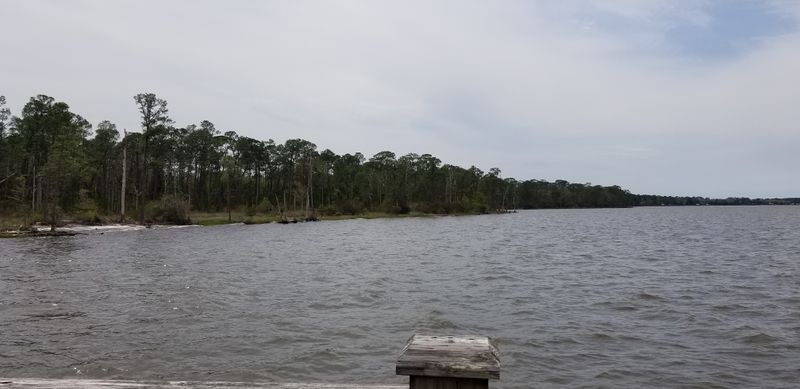Bon Secour Bay Shoreline