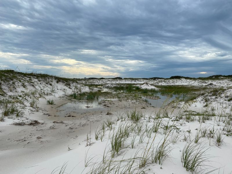 Bon Secour National Wildlife Refuge Shoreline