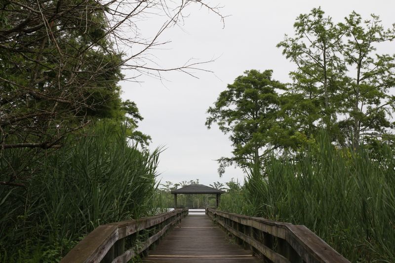 Where North Carolina's Coastal Region Still Feels Authentic