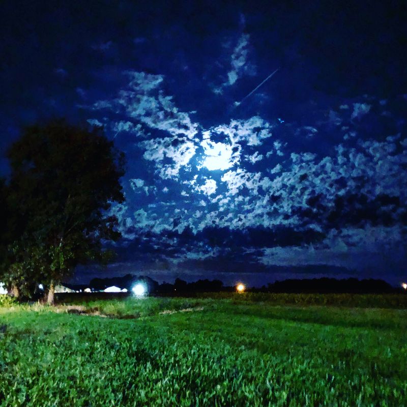 The Annual Shakespeare Festival Adds A Touch Of Culture Without The Crowds