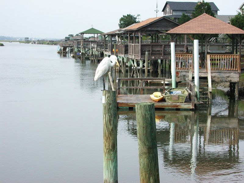 No Crowds, Just Peaceful Dining And Local Flavors