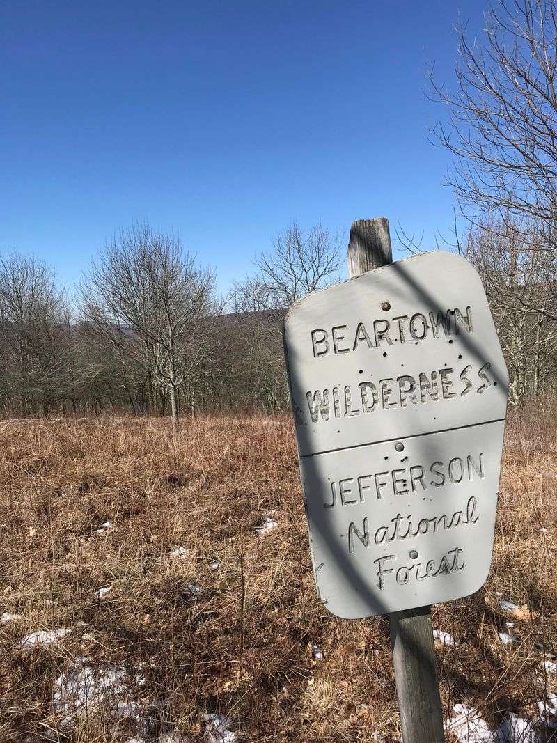 Beartown Wilderness (Tazewell County)