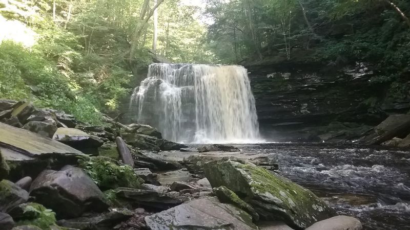 Harrison Wright Falls (Ricketts Glen Area)