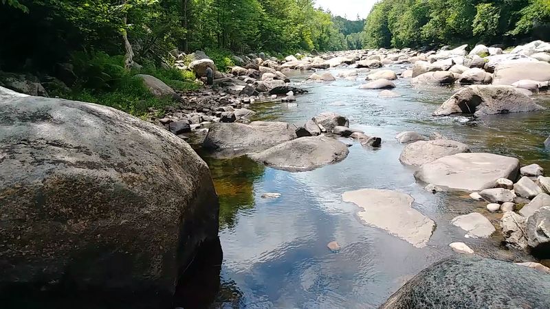 Silence Shaped By Distance, Not Rules