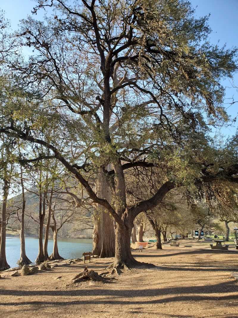 Blinn River Trail (Garner State Park)