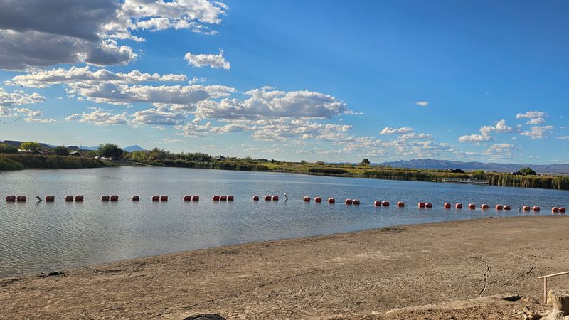 Birdwatching And Wildlife: A Hidden Nature Lover's Paradise