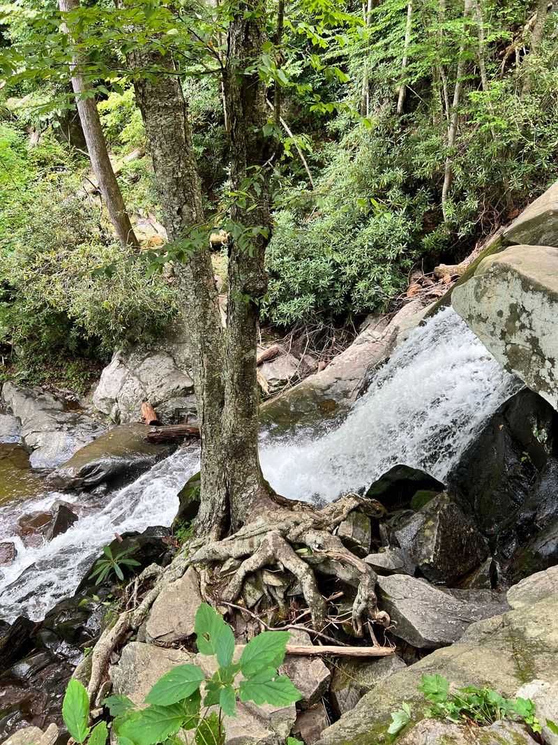 A Smoky Mountains Classic