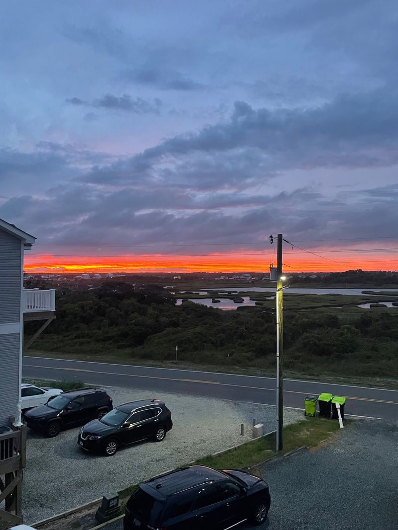 A Sanctuary Where Rehabilitation Meets Education