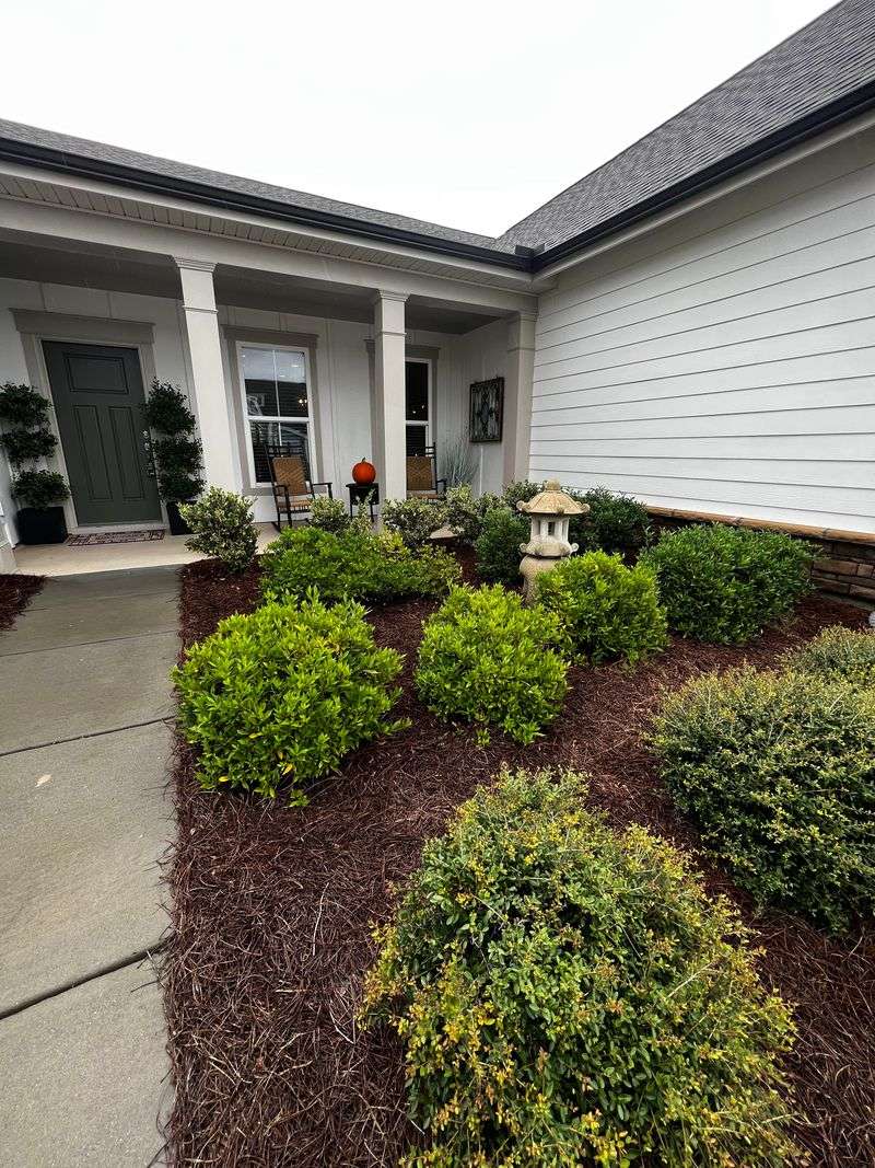 A Town That Feels Settled, Not Trendy