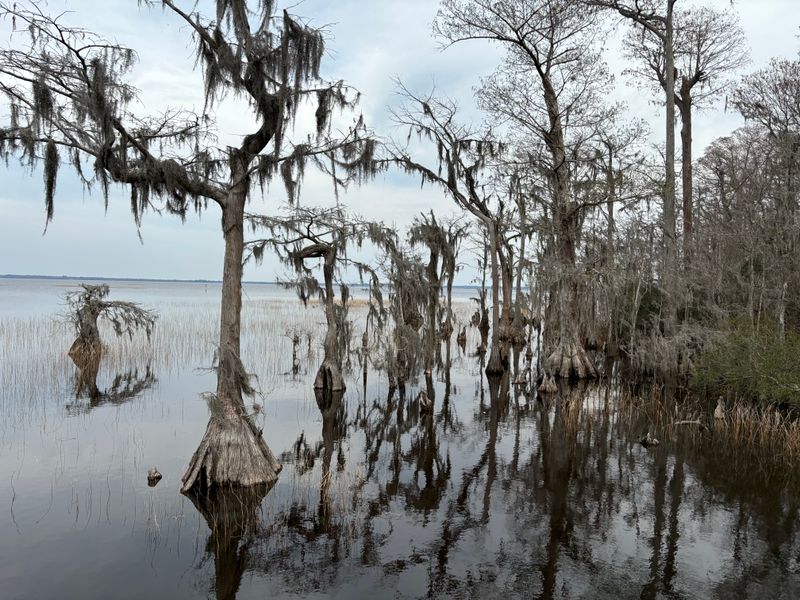 Lake Waccamaw State Park