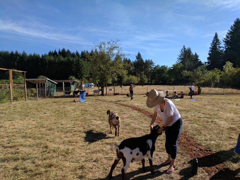 What To Expect During Your Visit To Frog Song Sanctuary