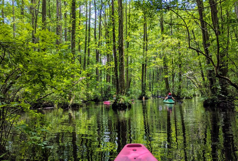 Robertson Millpond Preserve