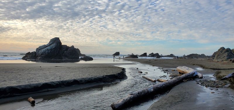 Long Beach Walks Without The Typical Tourist Crowds