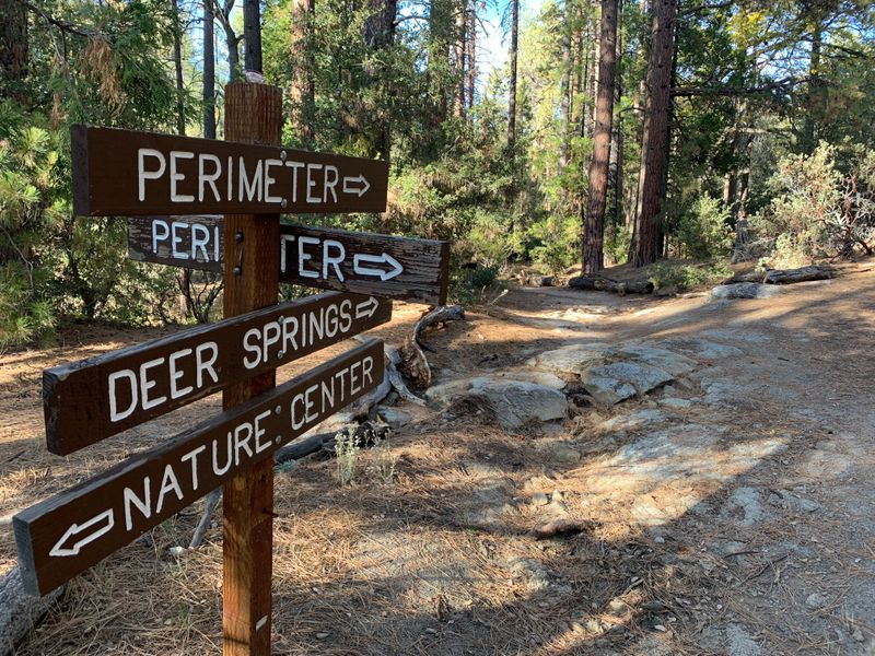 Wildlife Sightings Are Part Of Everyday Life