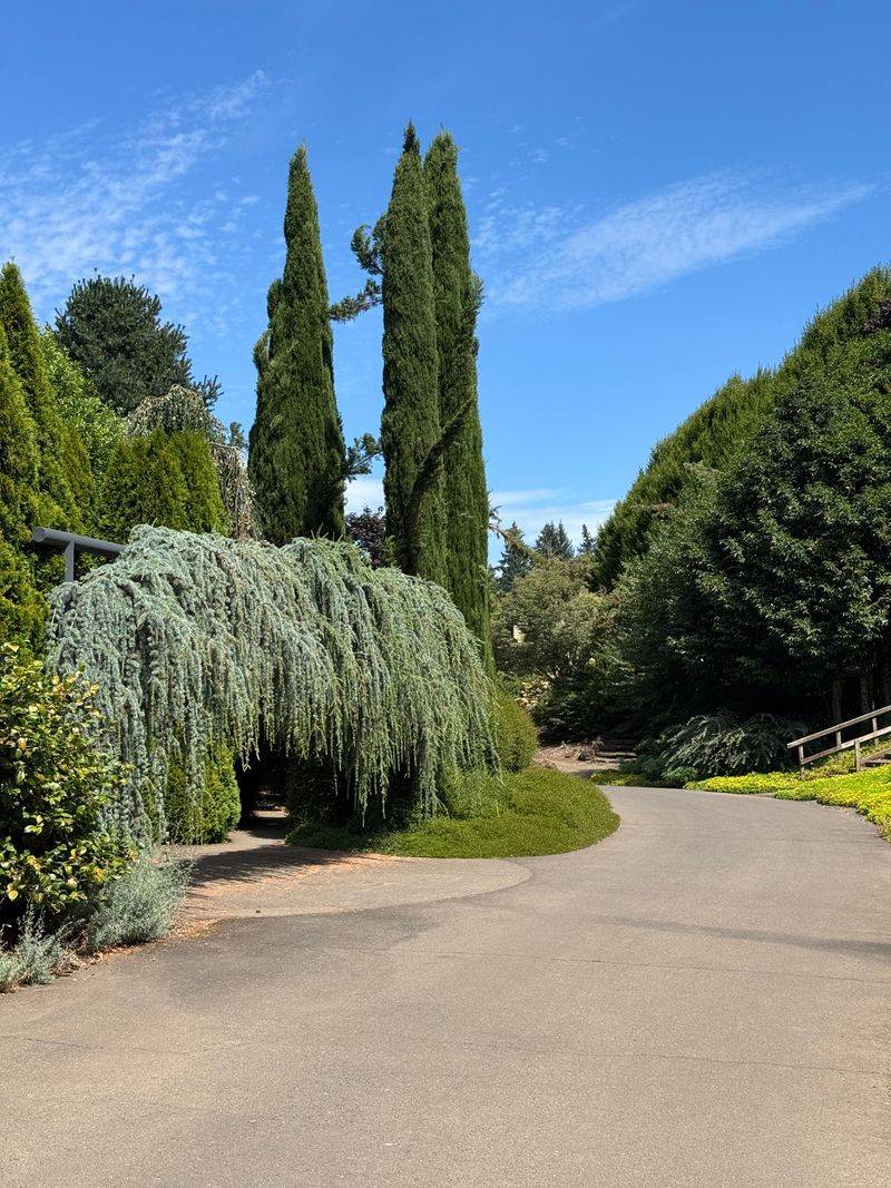 Winding Paths That Make You Forget Where You Parked