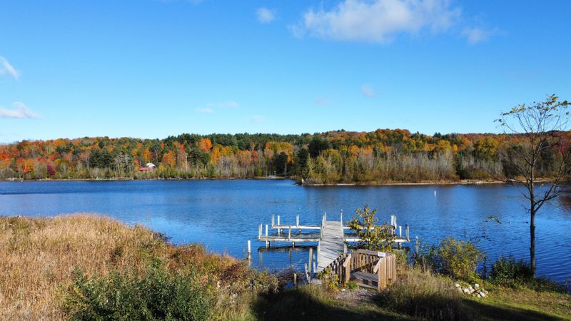 Outdoor Living Without The Rush
