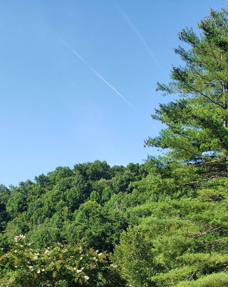 US 421 (Boone To Wilkesboro)