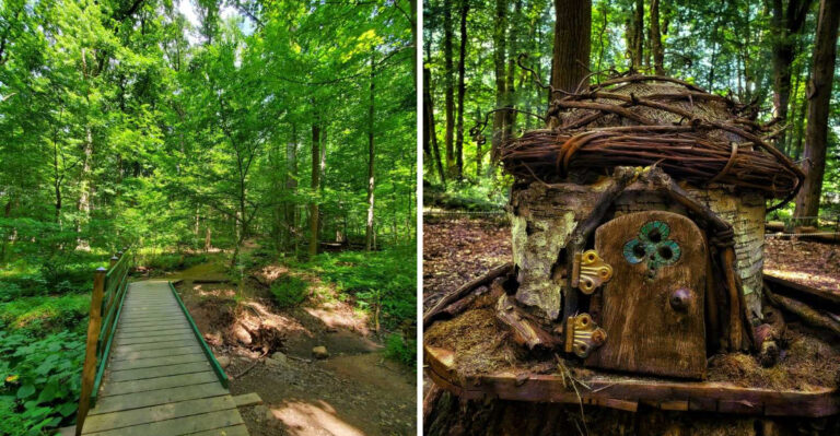 New Jersey’s Most Scenic 1-Mile Hike Will Leave You Daydreaming For Days