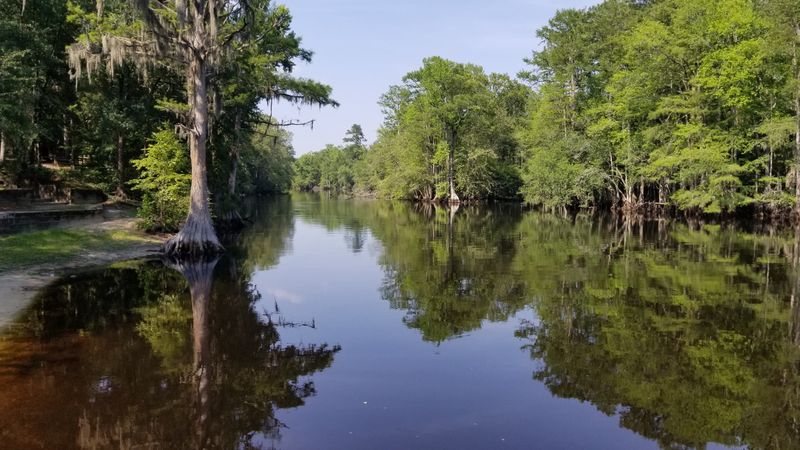 Lumber River State Park