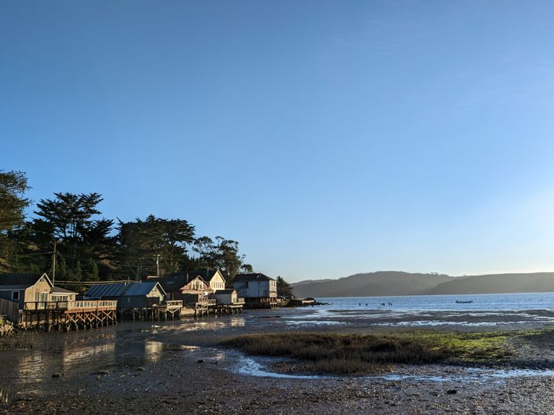 Hog Island Oyster Farm