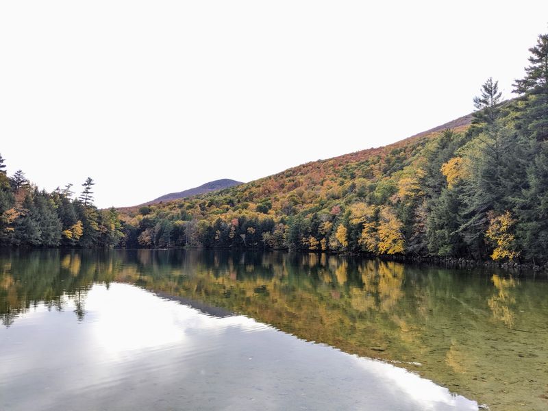 Fall Foliage in Dorset: The Epitome of Relaxation