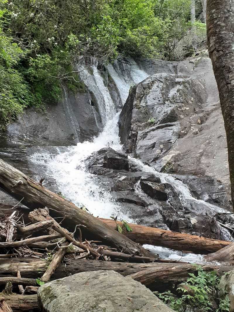 Fires Creek Rim Trail