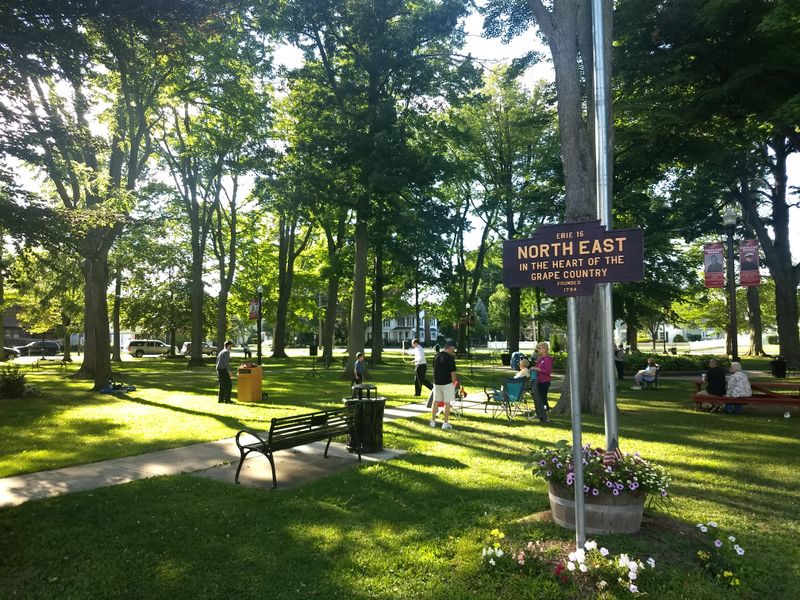 Festivals And Events That Celebrate Local Culture