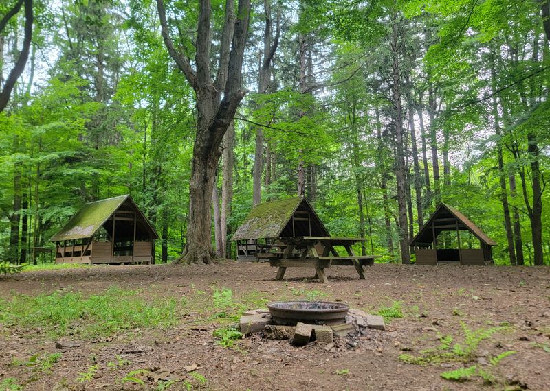 Abandoned Girl Scout Camp — Beechwood State Park, Sodus