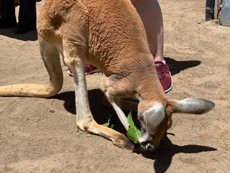 Why Visits Are Limited To Reservation-Only Experiences