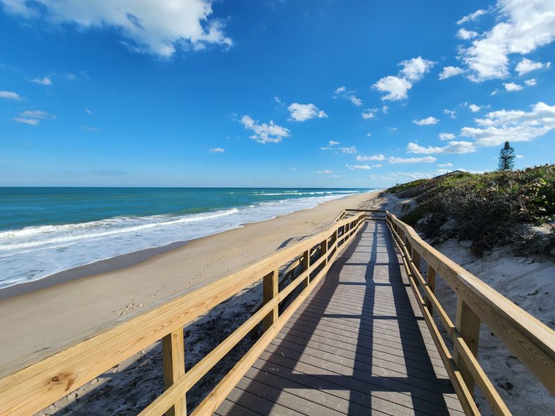 Sea Turtle Nesting Beaches (Various Barrier Islands)