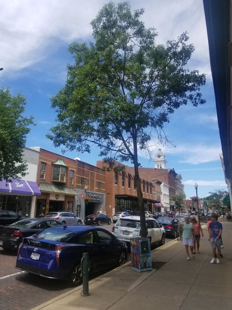 The Spirit Of The Arts In Athens