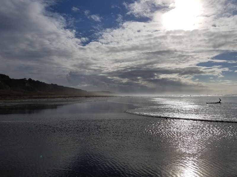 Tide Pools And Driftwood Offer Natural Entertainment Without Entrance Fees