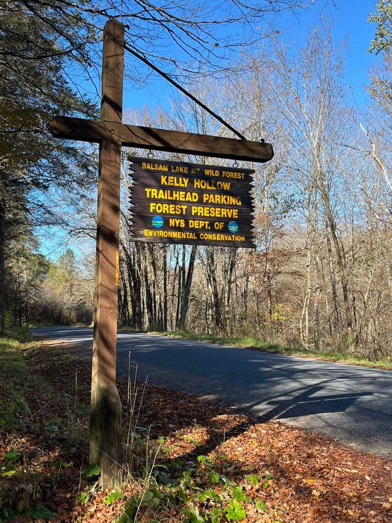 Balsam Lake Mountain Wild Forest Trails — Ulster County