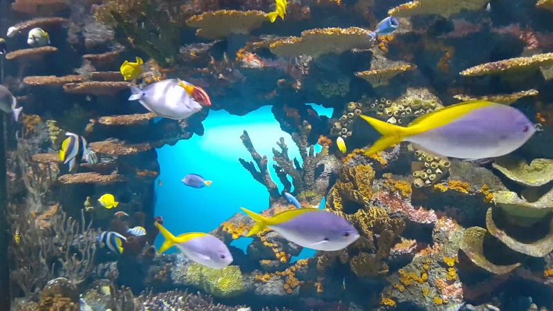 Touch Pools That Teach Through Fingertips