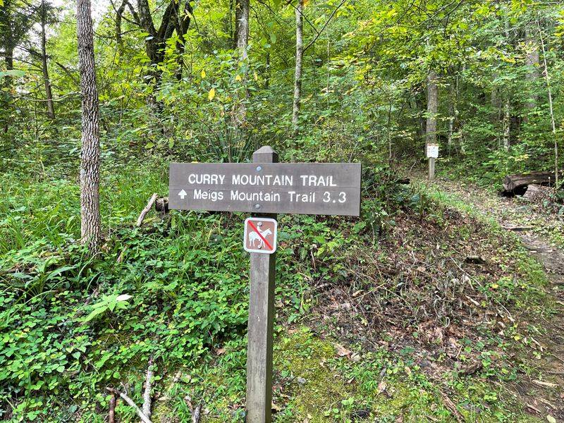 Curry Mountain Trail (Smokies)