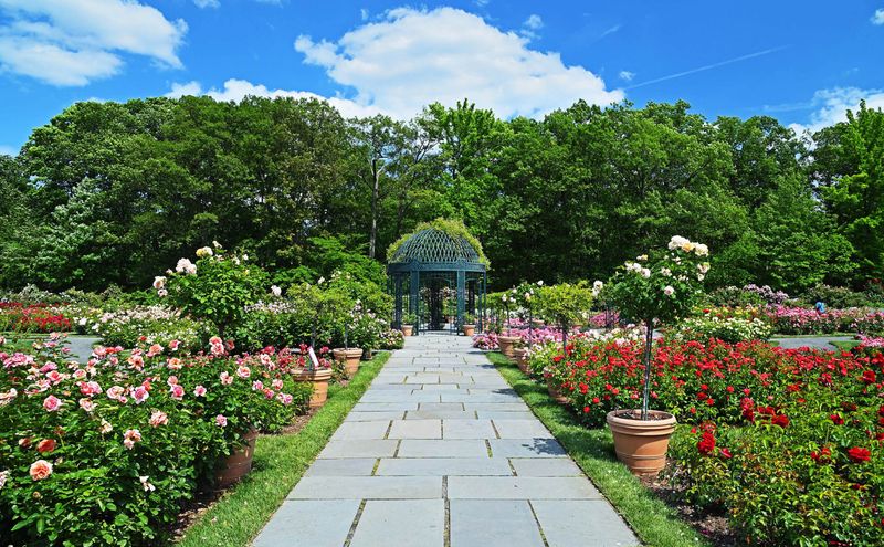 Easy To Walk For Nearly Everyone