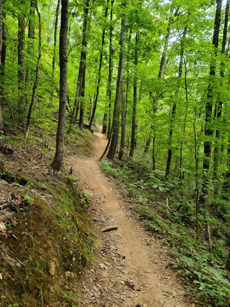 Stringer’s Ridge Trails (Chattanooga)